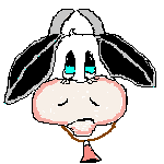 bloomoocow