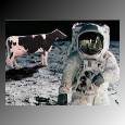astrocow.jpg (3918 bytes)