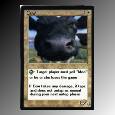 magic.jpg (3580 bytes)